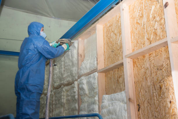 Best Wall Insulation Contractor  in Dix Hills, NY